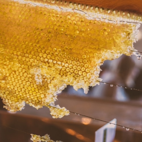 <span>Missing Bees</span>