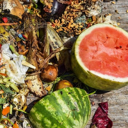 <span> 409 million, food waste</span><br />every year